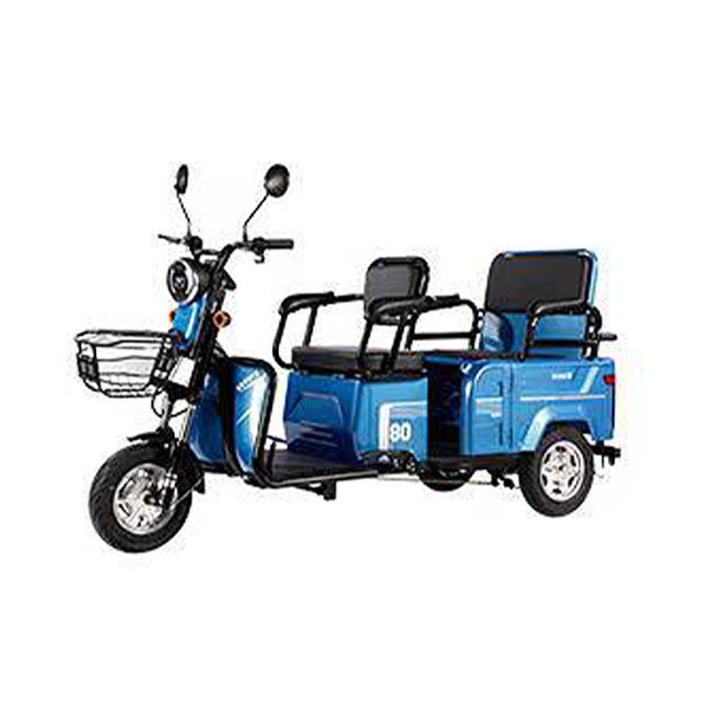 Chinese Wholesale Hot Sale Factory Sell Adult Popular Design Electric Bike Electric Tricycle